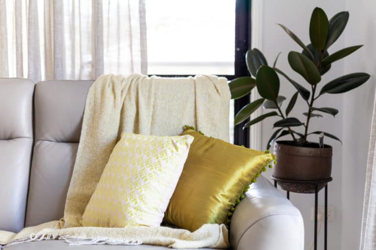Light grey sofa with a yellow throw and two decorative cushions, next to a potted green plant by a window with sheer curtains.