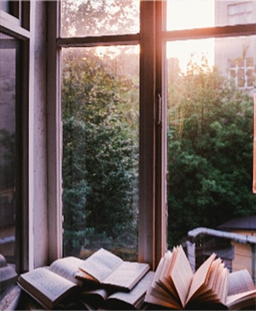 Several open books rest on a windowsill with trees and buildings visible outside at sundown.