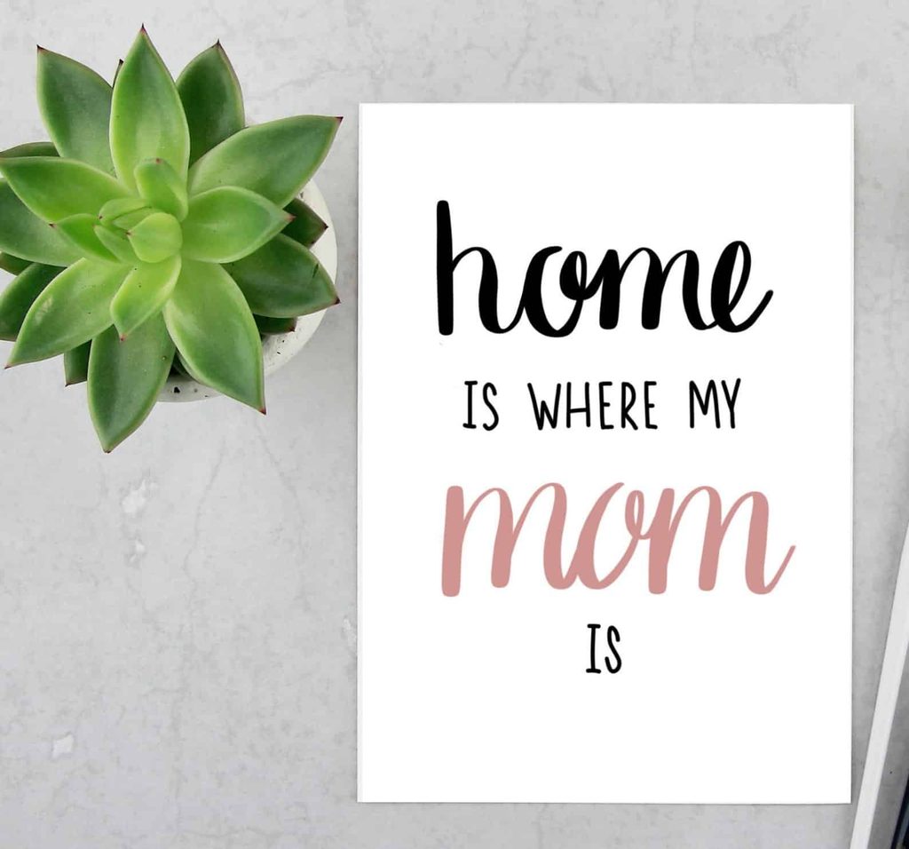 A green succulent next to a card that says “home is where my mum is” on a light grey surface.